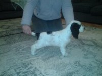 /album/patu/patun-seisonta-095-jpg/